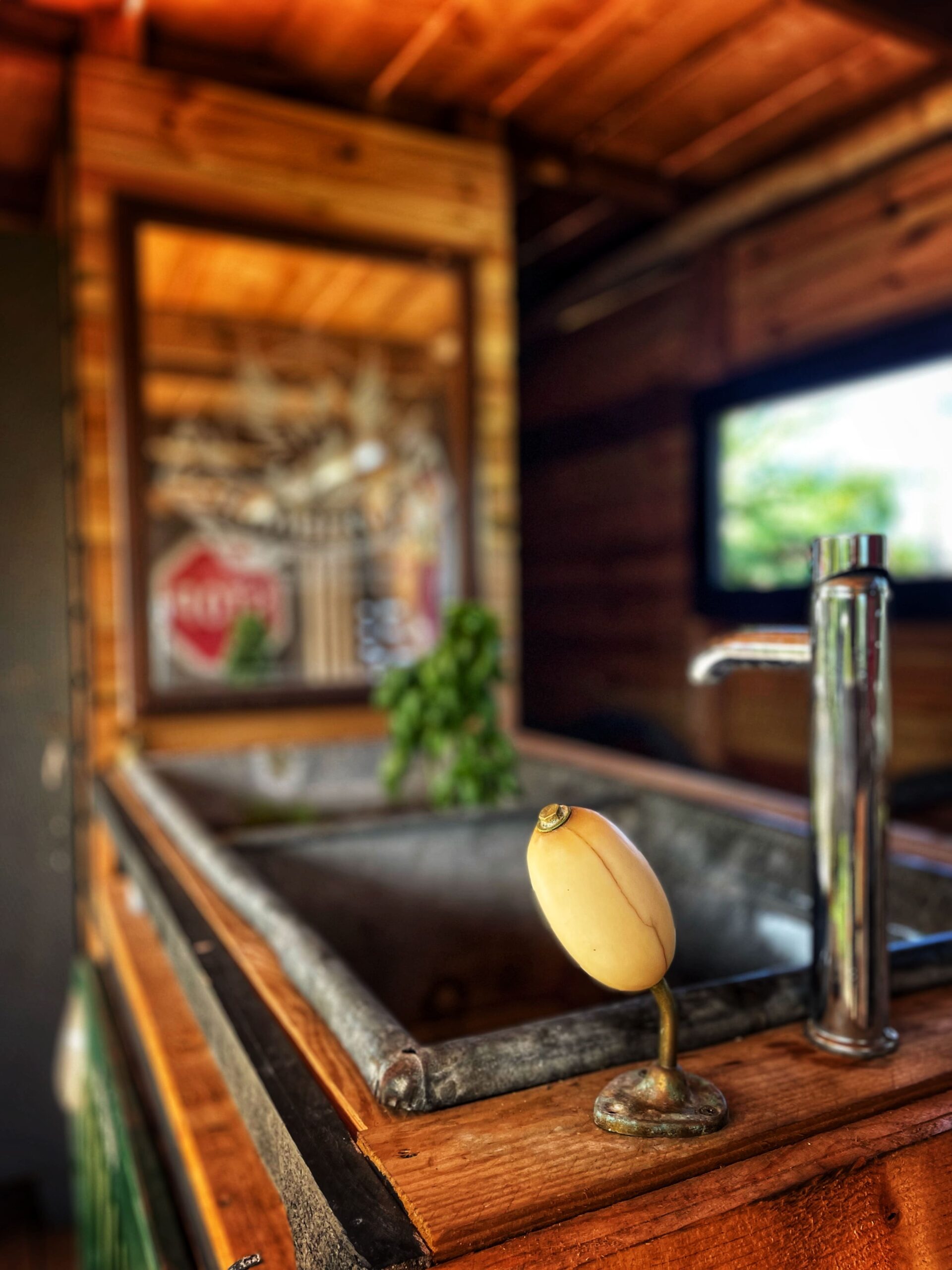 Et toujours une ambiance vintage où l'on retrouve divers objets chinés par le couple.